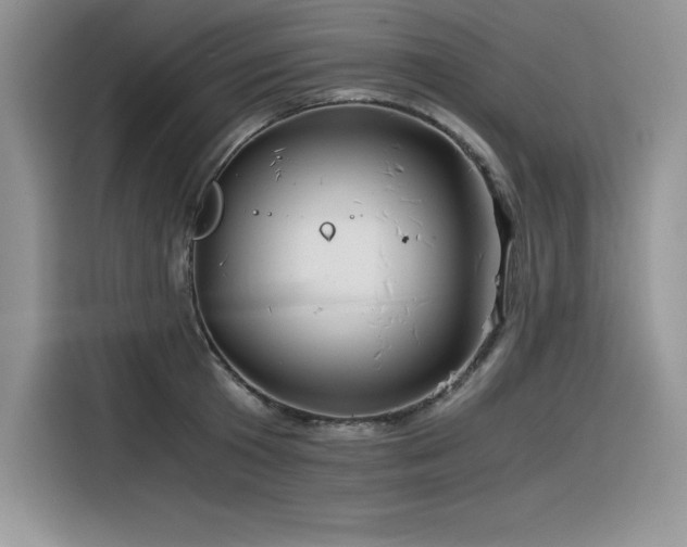 X0000116390801200912021538