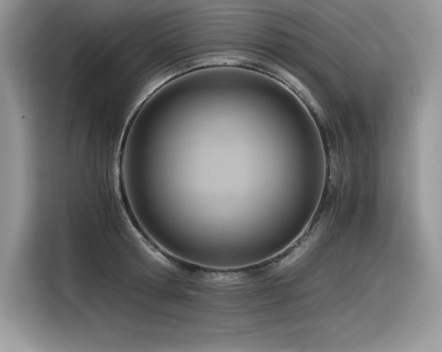 X0000116390802200912021538