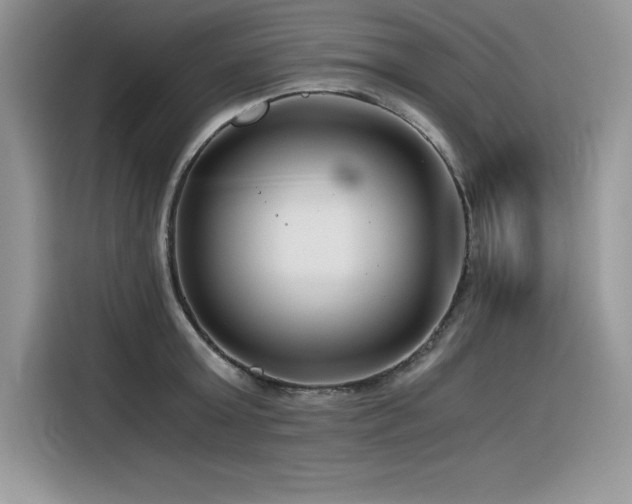 X0000116390803200912021538