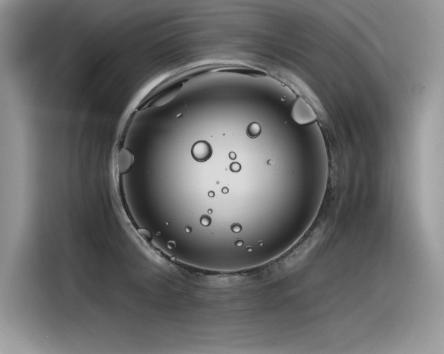 X0000116390804200912021538