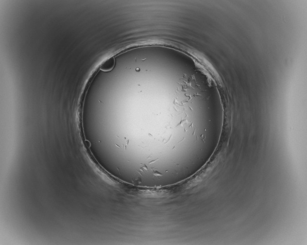 X0000116390805200912021538