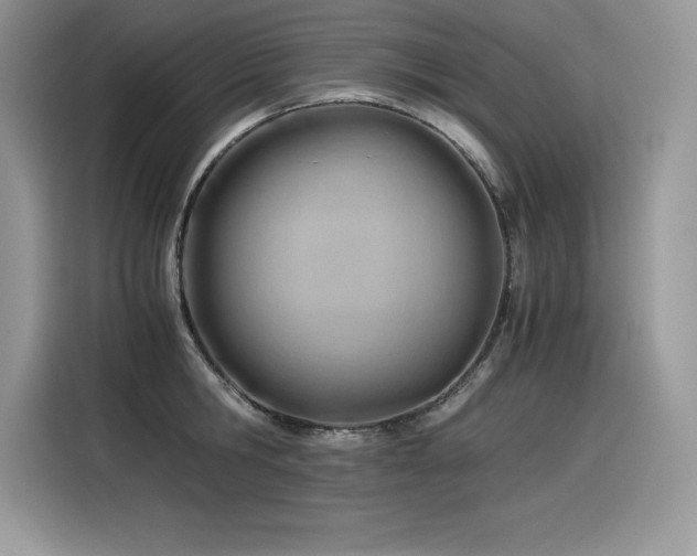 X0000116390806200912021538