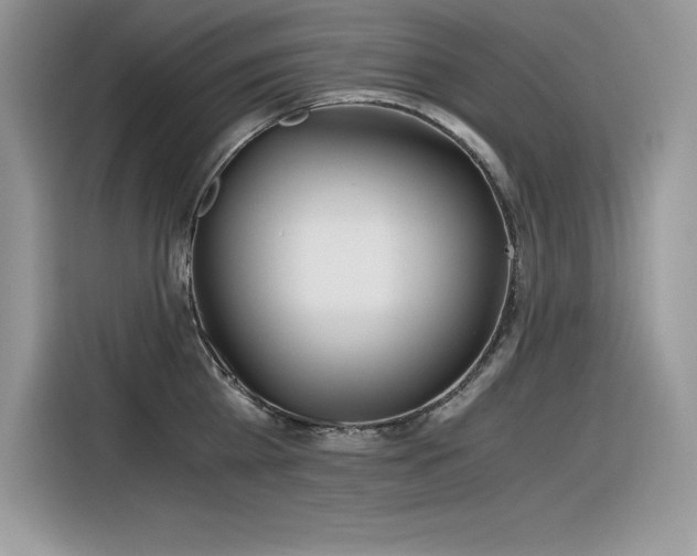 X0000116390809200912021538