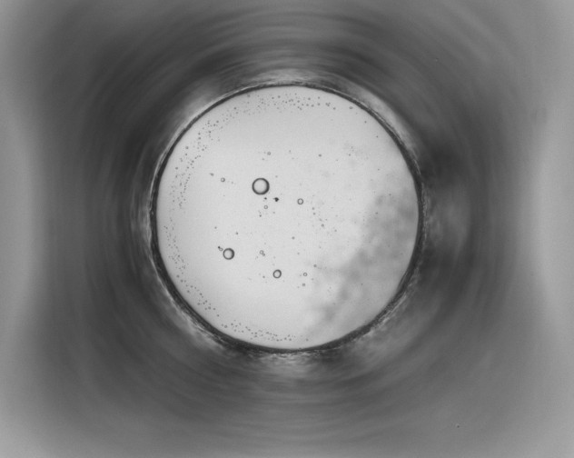 X0000116390810200912021538