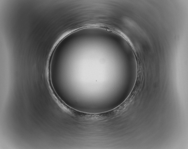 X0000116390811200912021538