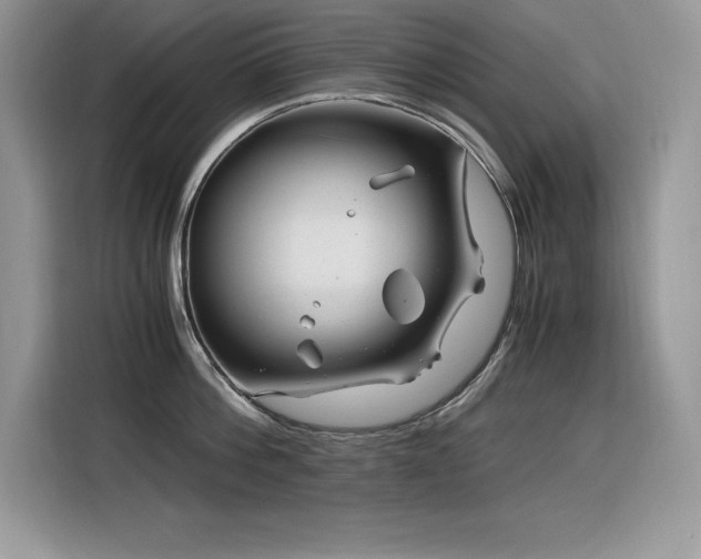 X0000116390812200912021538