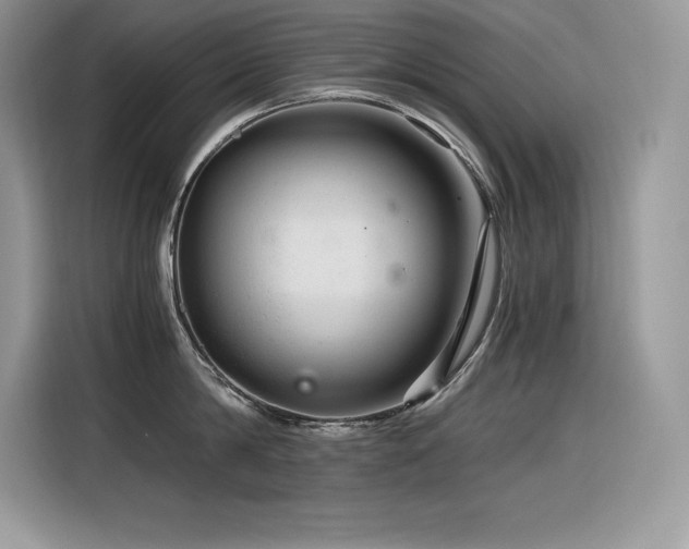 X0000116390814200912021538