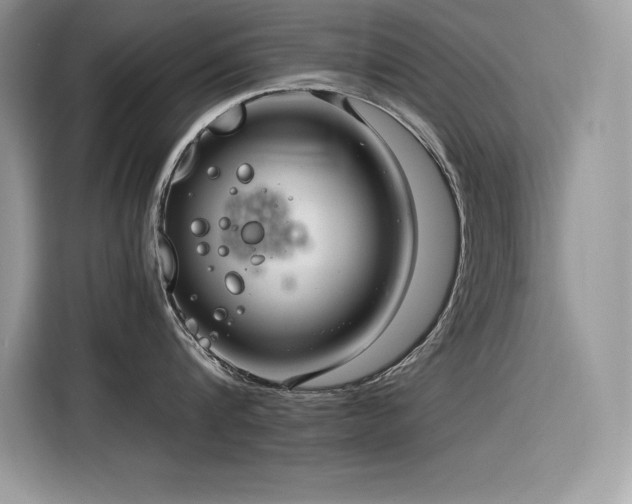 X0000116390816200912021538