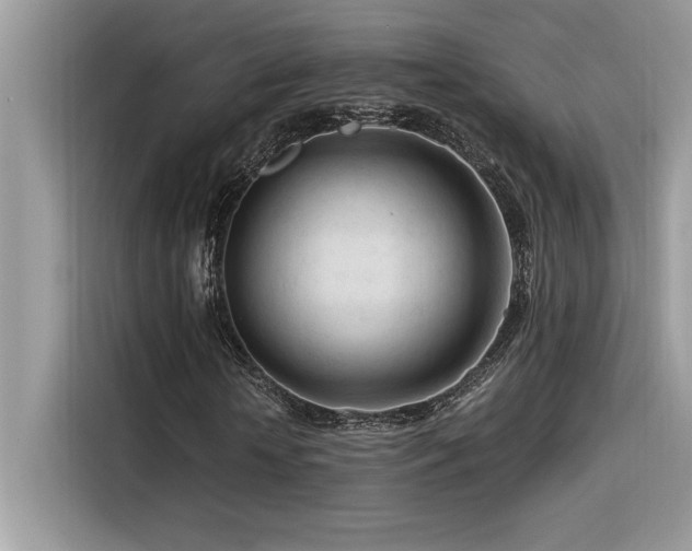X0000116390818200912021538