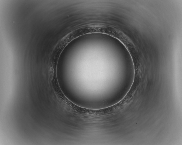 X0000116390821200912021538