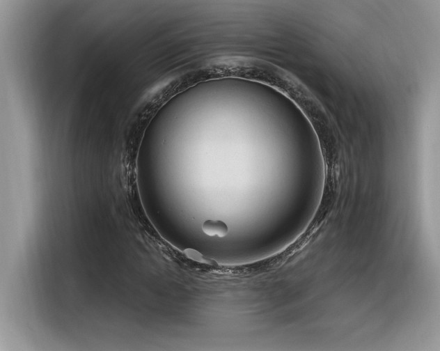 X0000116390822200912021538