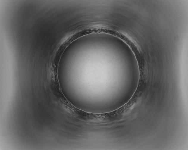 X0000116390823200912021538