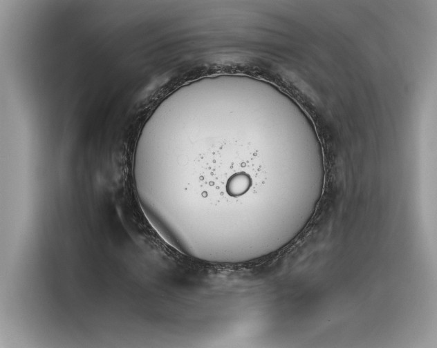X0000116390824200912021538