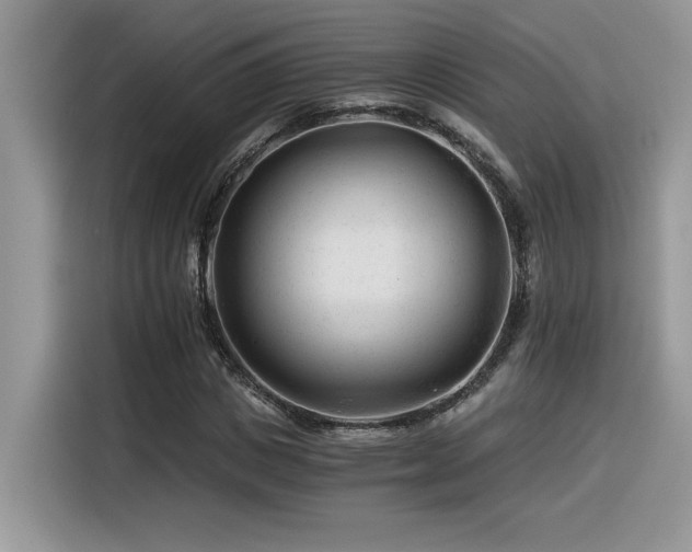 X0000116390825200912021538