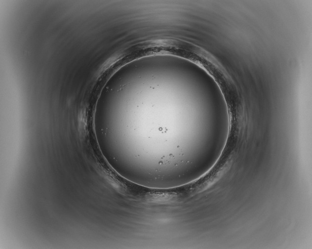 X0000116390826200912021538