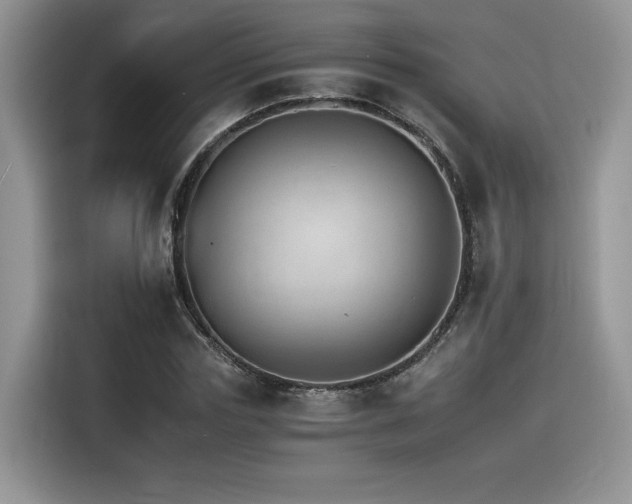 X0000116390827200912021538