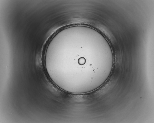 X0000116390828200912021538