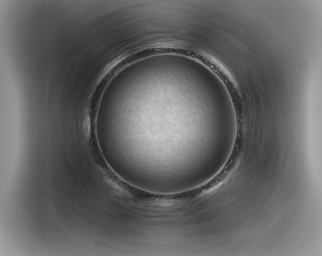 X0000116390829200912021538