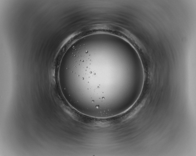 X0000116390830200912021538