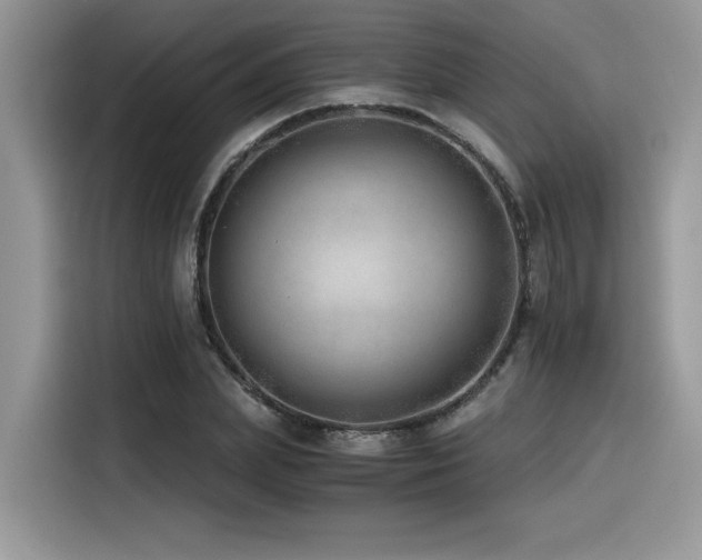 X0000116390831200912021538