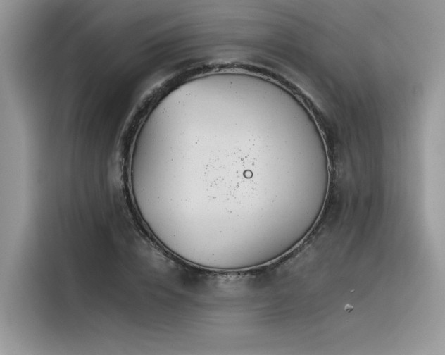 X0000116390832200912021538