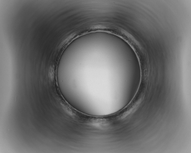 X0000116390833200912021538