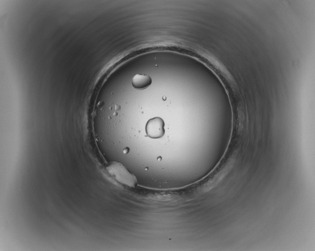 X0000116390834200912021538
