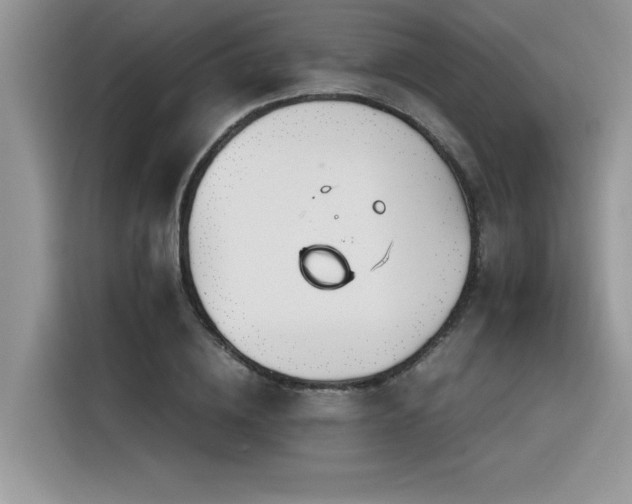 X0000116390836200912021538