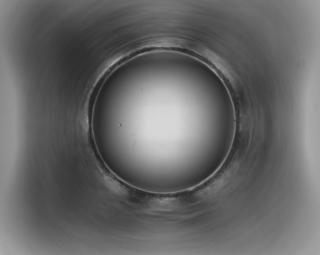 X0000116390837200912021538