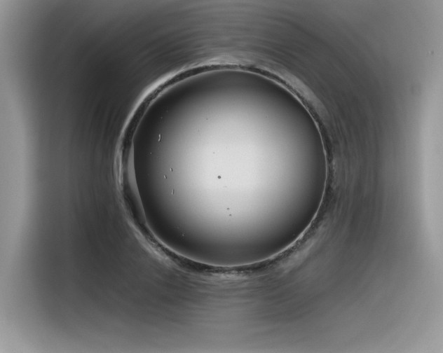 X0000116390838200912021538