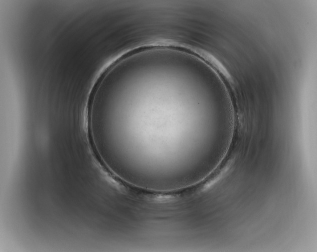 X0000116390839200912021538