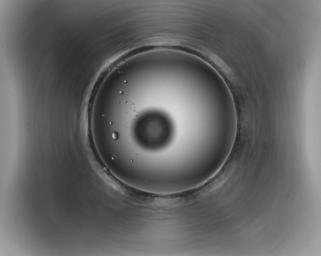 X0000116390840200912021538