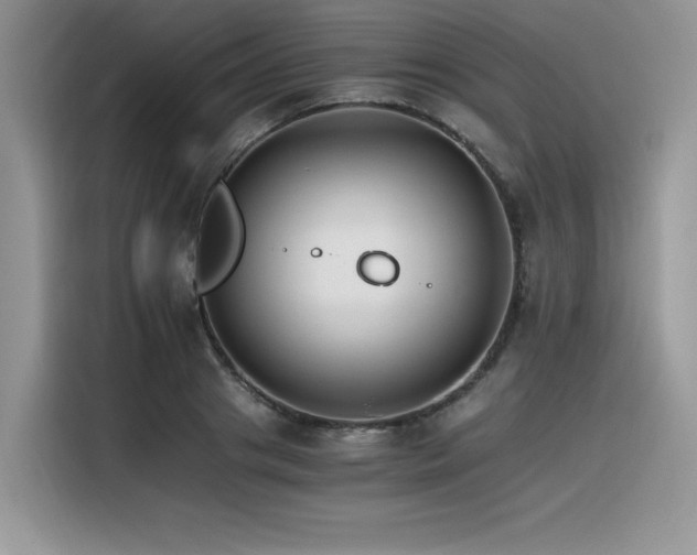 X0000116390841200912021538
