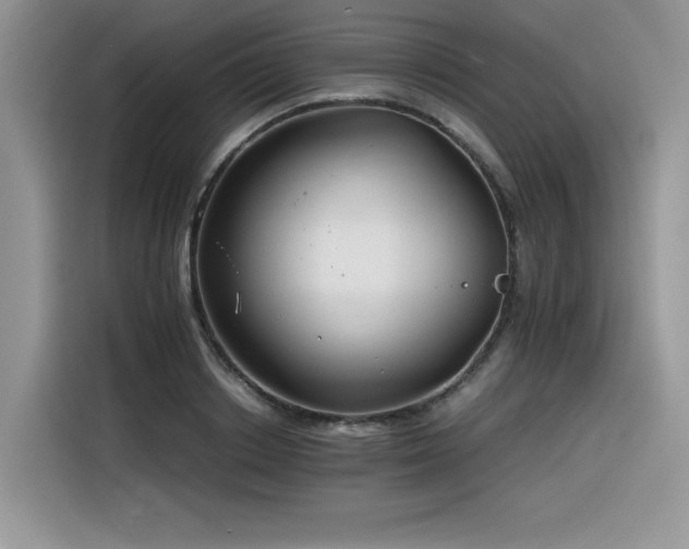 X0000116390842200912021538