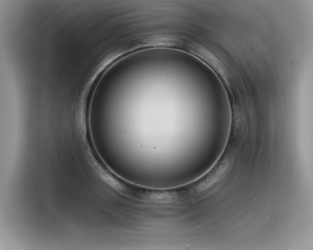 X0000116390843200912021538