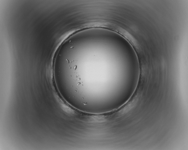 X0000116390844200912021538