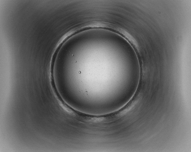 X0000116390845200912021538