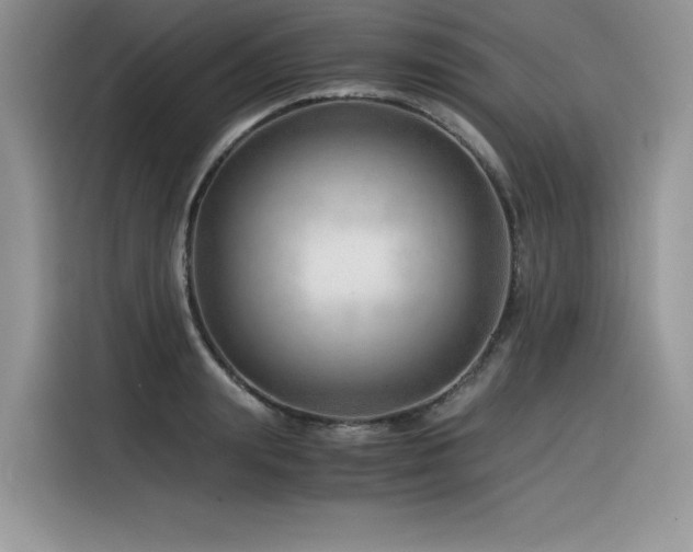 X0000116390847200912021538