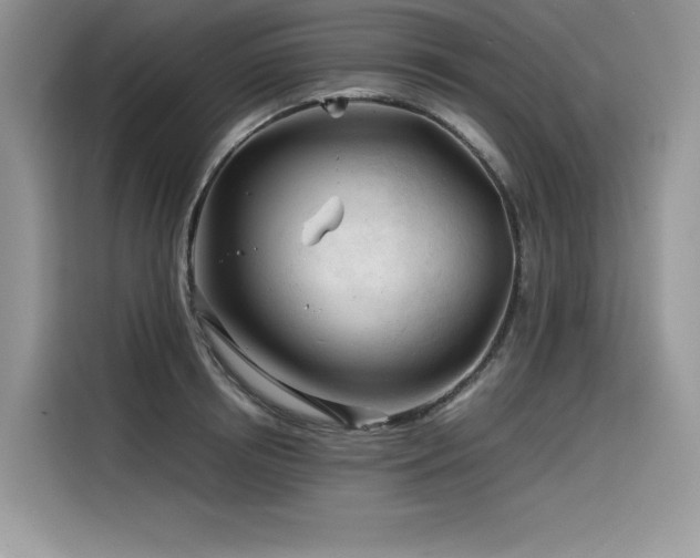 X0000116390850200912021538