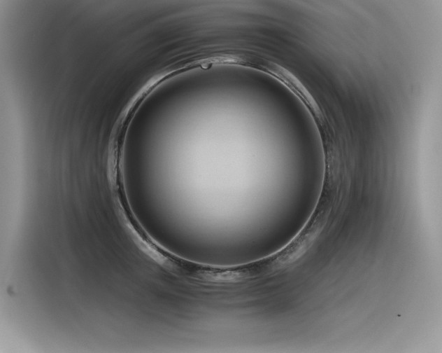 X0000116390851200912021538
