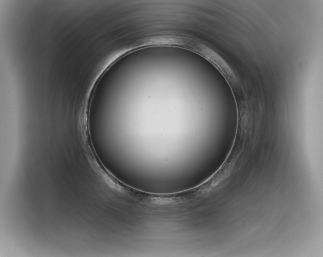 X0000116390852200912021538