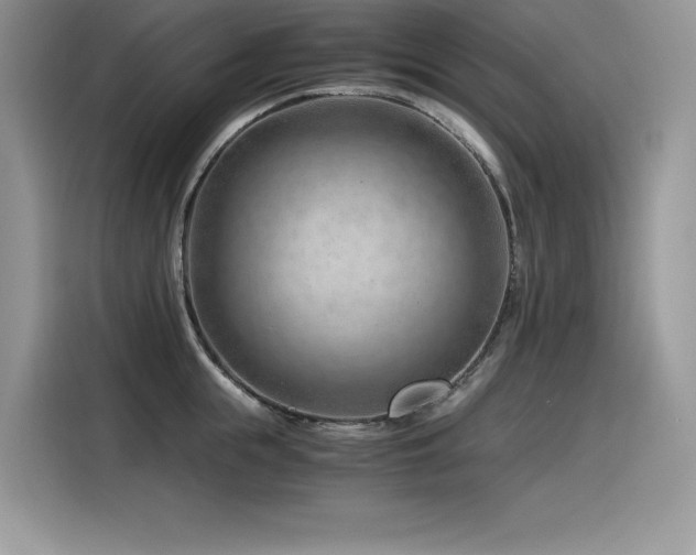X0000116390855200912021538