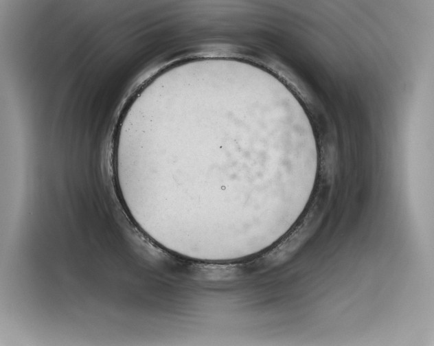 X0000116390856200912021538