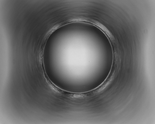 X0000116390857200912021538