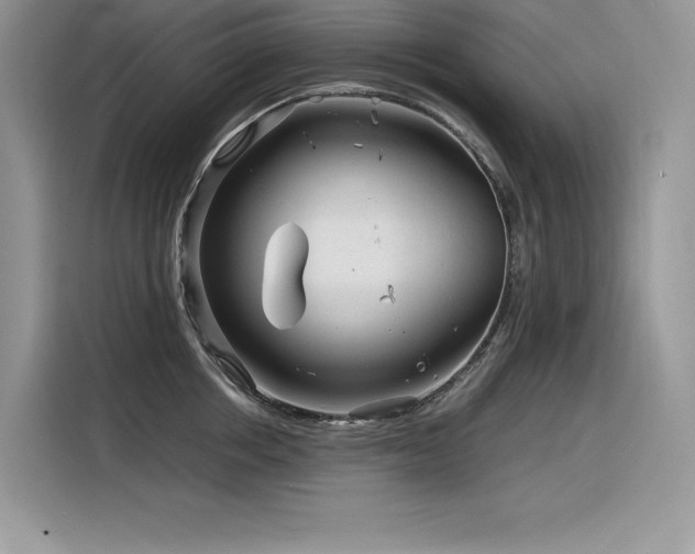 X0000116390858200912021538