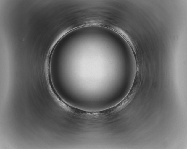X0000116390859200912021538