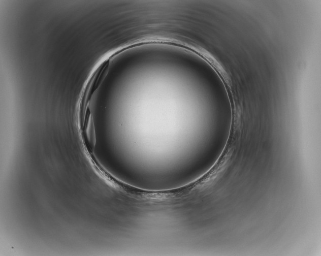 X0000116390862200912021538