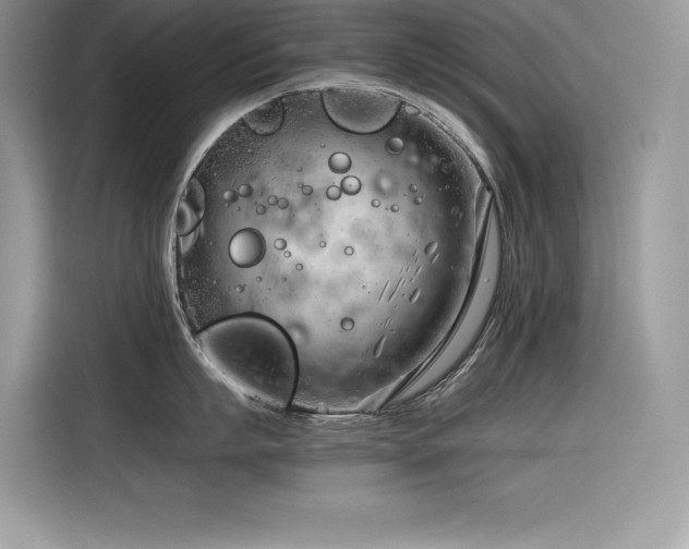 X0000116390863200912021538