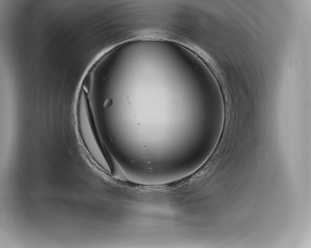 X0000116390864200912021538