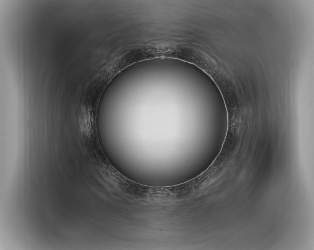 X0000116390866200912021538